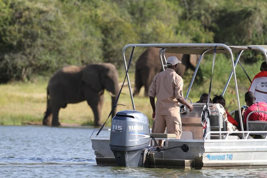3-Day Akagera Wildlife Safari and Boat Cruise