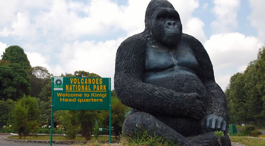 3-Day Rwanda Gorillas and Golden Monkeys Tour