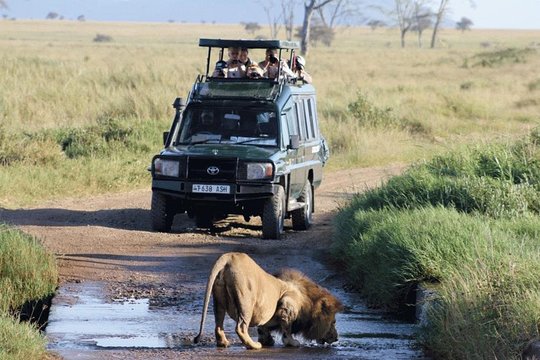 Best time to visit Akagera National Park