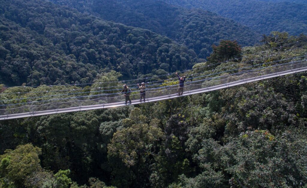 Best time to visit Nyungwe National Park