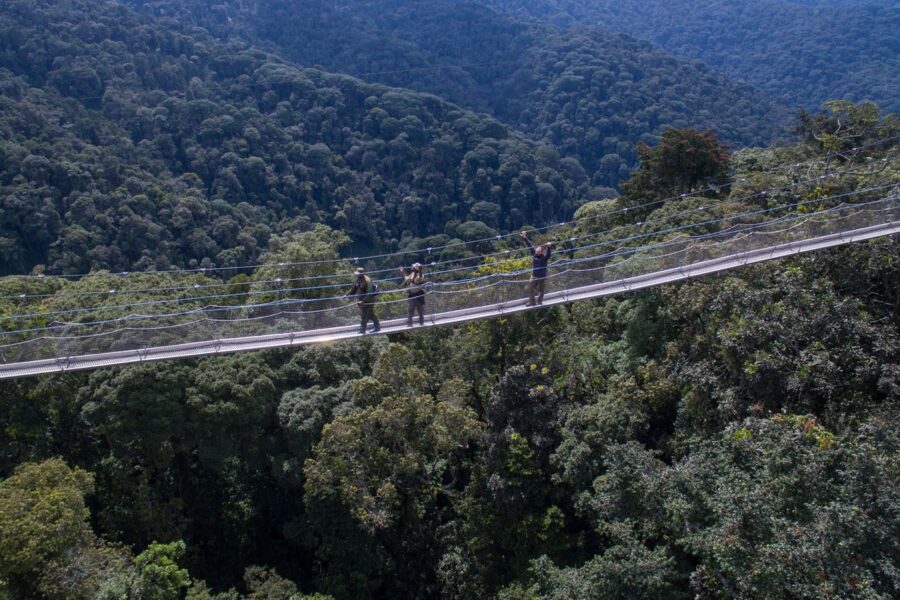 Best time to visit Nyungwe National Park