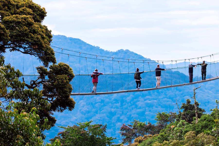 Canopy Walk