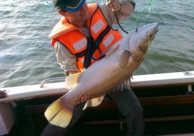 Fishing