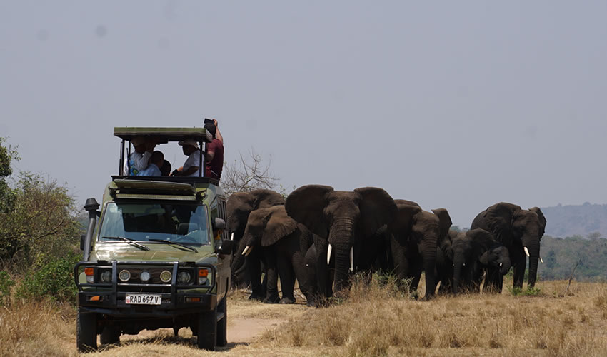 How to get to Akagera National Park