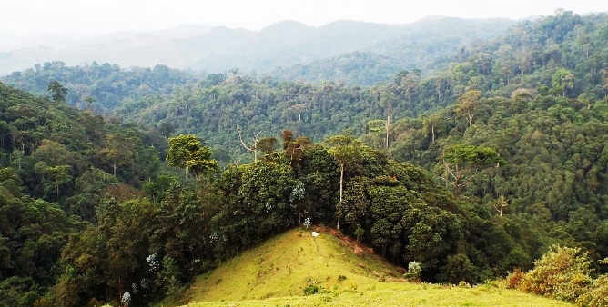 How to get to Gishwati-Mukura National Park