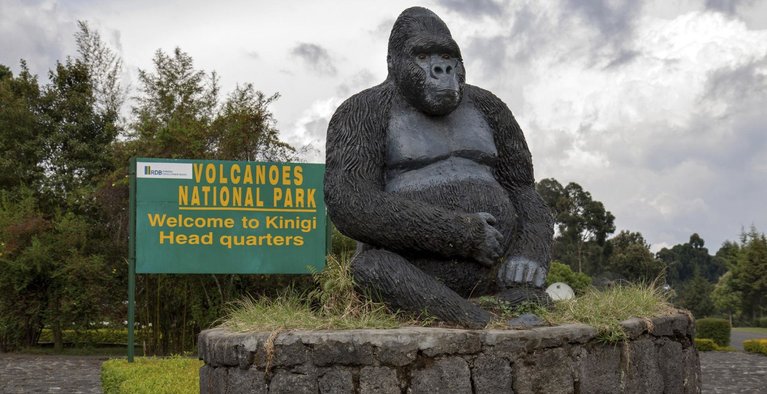 How to get to Volcanoes National Park