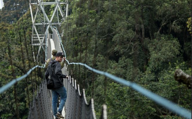 Nyungwe National Park