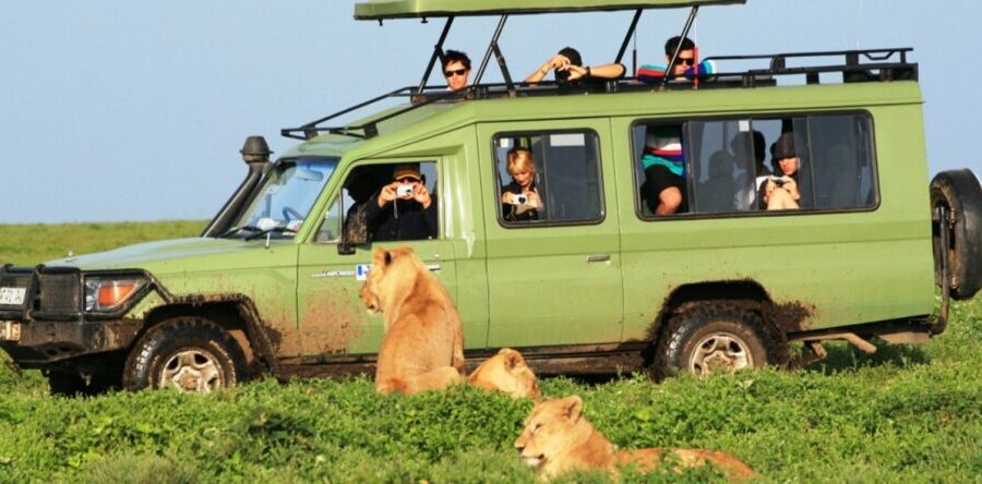 Tanzania Self-drive safaris