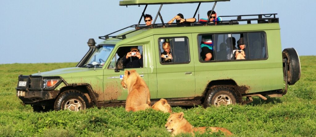 Tanzania Self-drive safaris