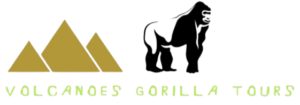 logo small