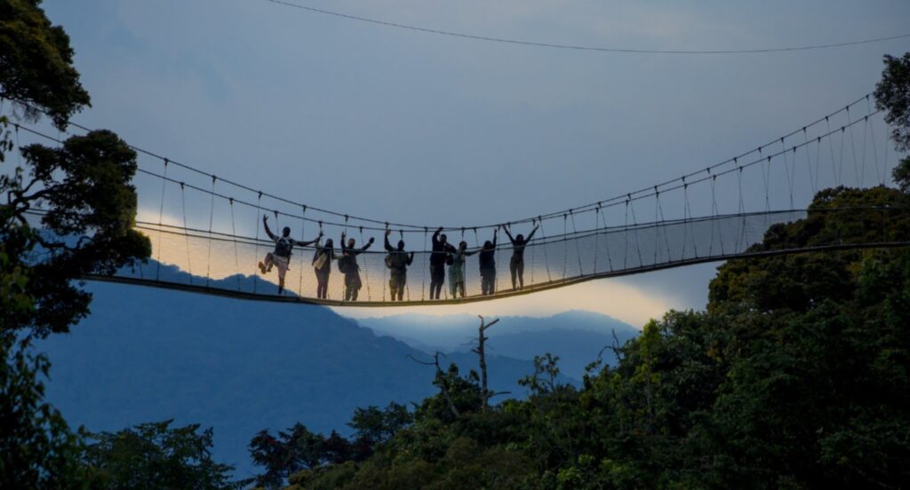 2-Day Nyungwe National Park Tour: Canopy Walk & Primate Encounter