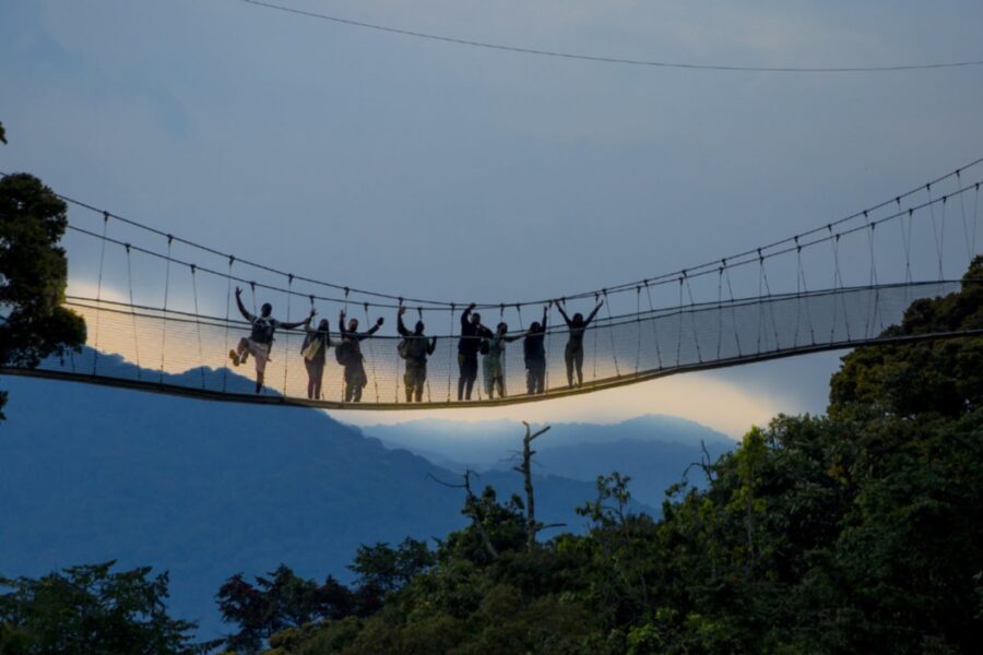 2-Day Nyungwe National Park Tour: Canopy Walk & Primate Encounter