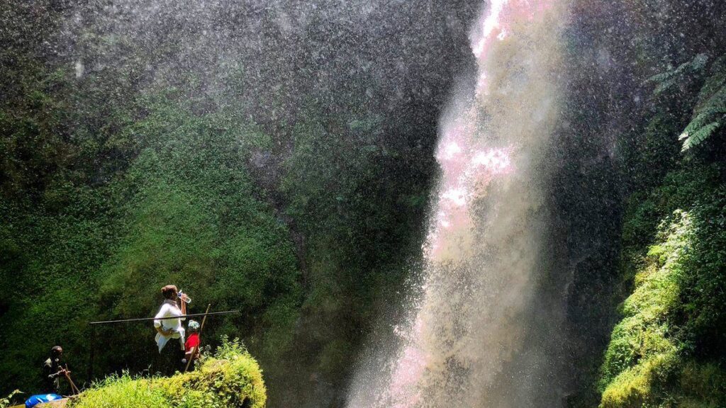 3-Day Nyungwe Forest Safari: Chimpanzees, Tea Plantations & Waterfalls