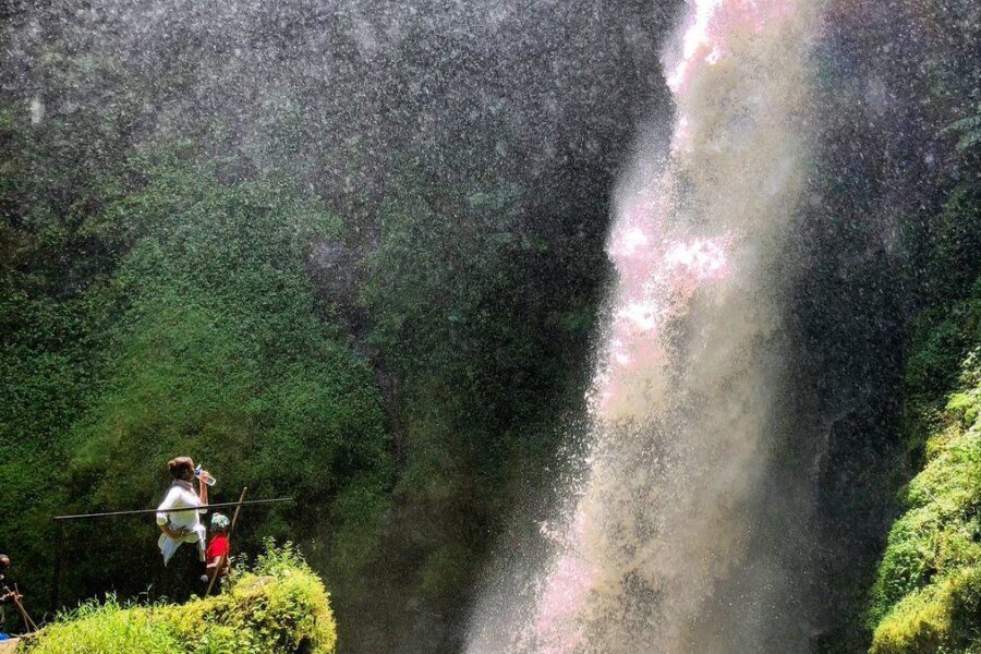 3-Day Nyungwe Forest Safari: Chimpanzees, Tea Plantations & Waterfalls