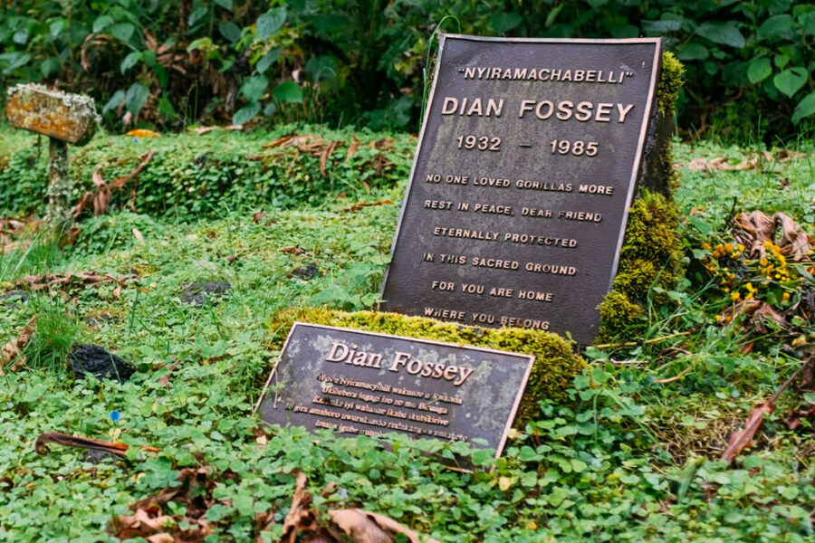 3 Days Rwanda Gorilla trekking and Dian Fossey Tomb Hike