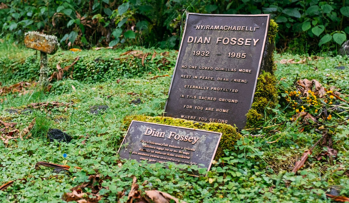 3 Days Rwanda Gorilla trekking and Dian Fossey Tomb Hike