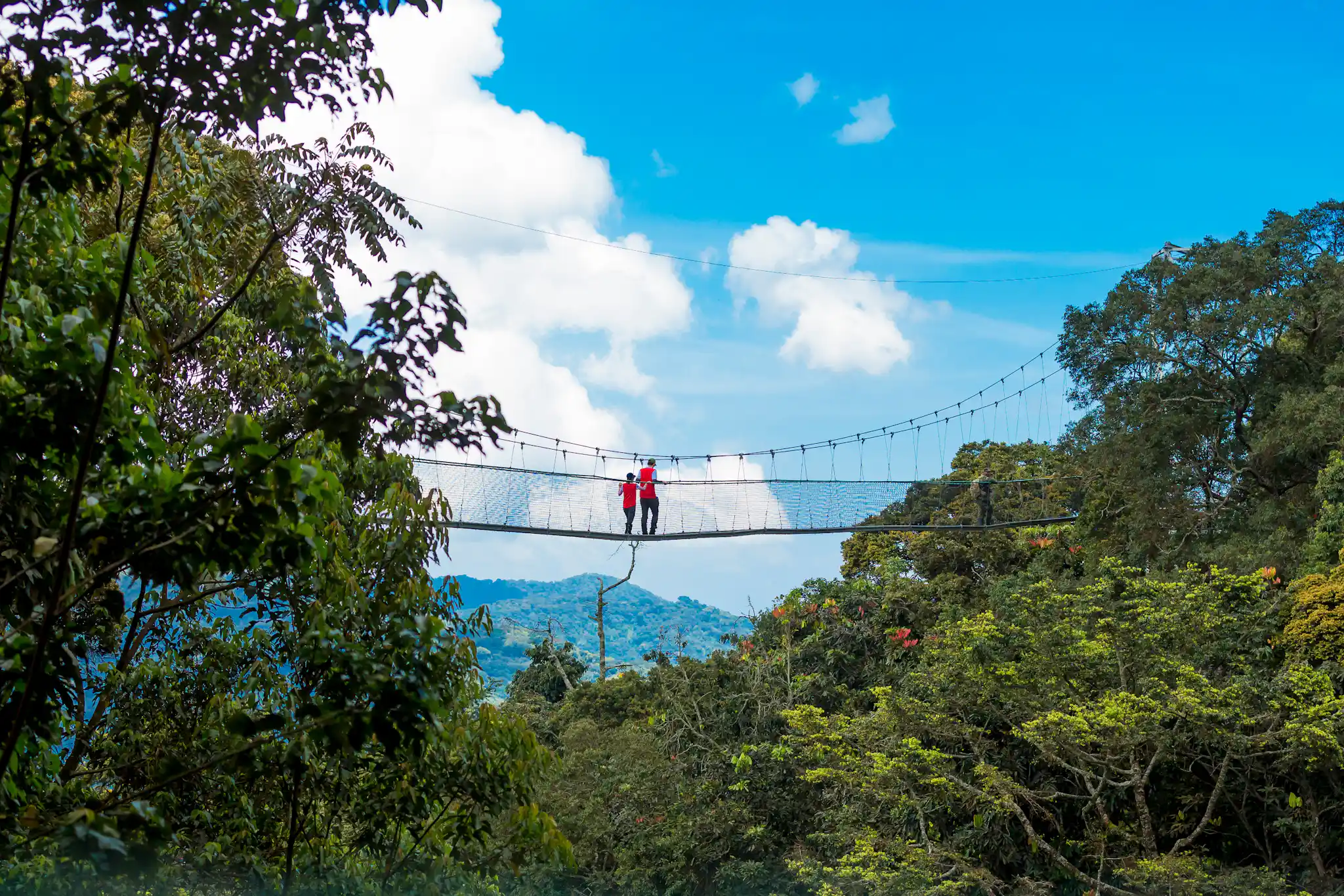 5-Day Nyungwe National Park Adventure: Primates, Hiking & Lake Kivu Escape