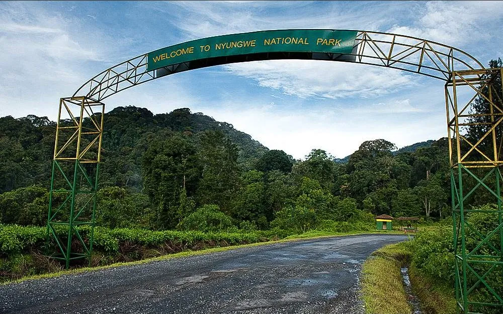 Nyungwe National Park