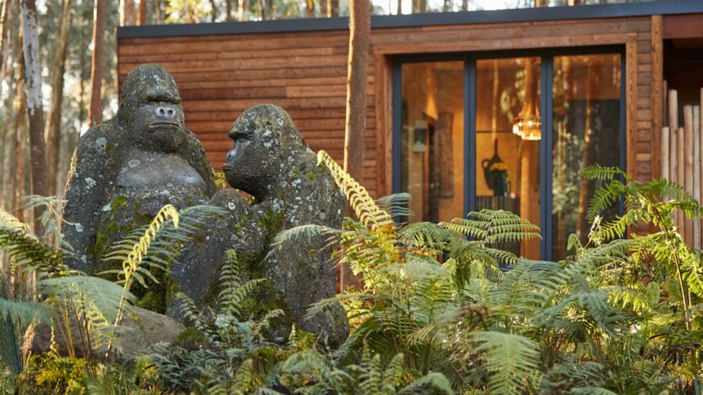 A Full Luxury Rwanda Itinerary