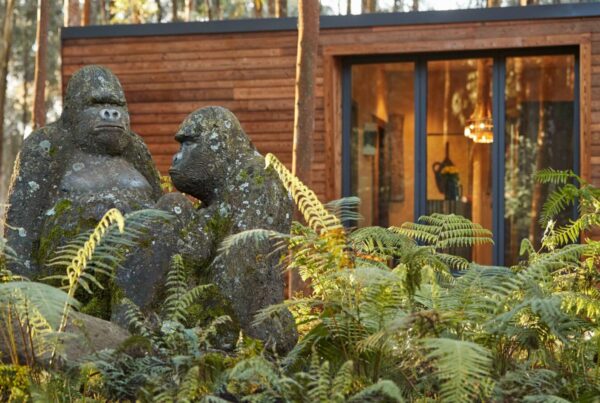 A Full Luxury Rwanda Itinerary