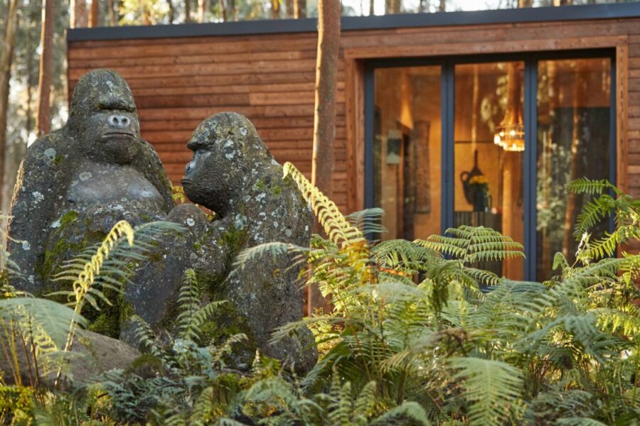 A Full Luxury Rwanda Itinerary