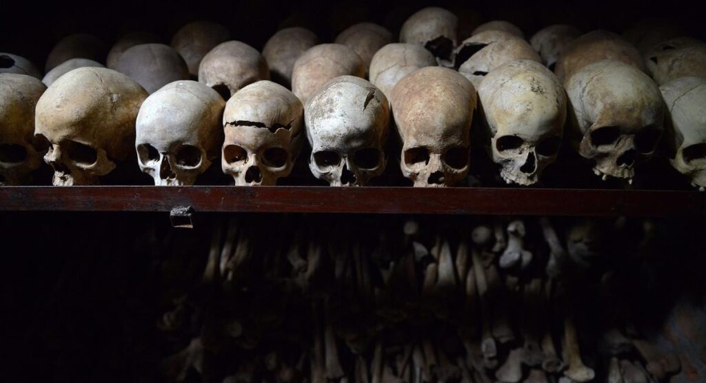 10 Days Rwanda–Uganda Primate and History Safari Connecting Genocide Memorial Sites, Volcanoes Gorillas, and Bwindi Gorilla Trekking