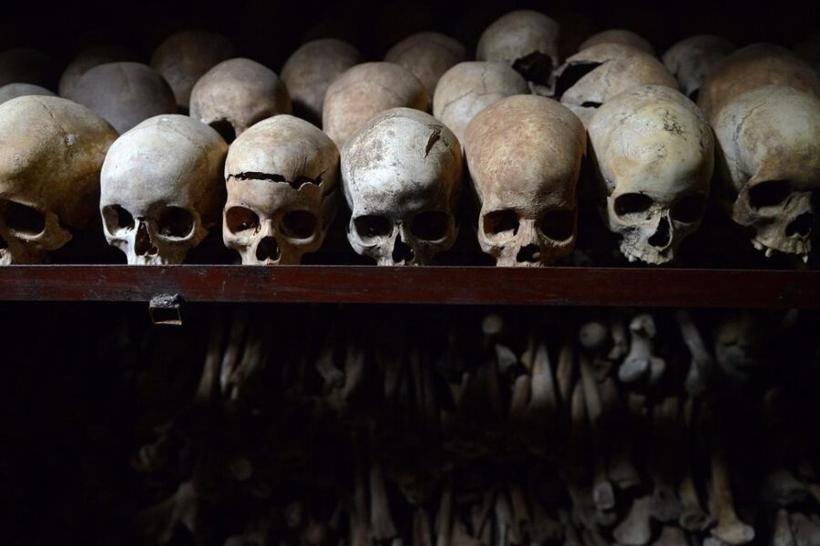 10 Days Rwanda–Uganda Primate and History Safari Connecting Genocide Memorial Sites, Volcanoes Gorillas, and Bwindi Gorilla Trekking